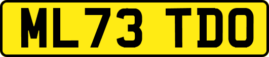 ML73TDO