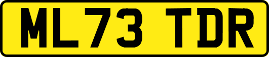 ML73TDR
