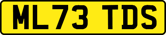 ML73TDS