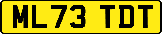ML73TDT