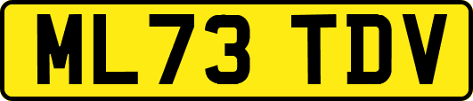ML73TDV