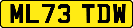ML73TDW