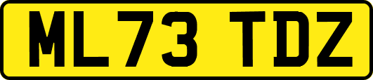 ML73TDZ