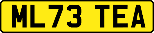 ML73TEA
