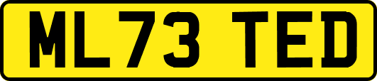 ML73TED