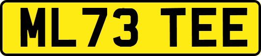 ML73TEE