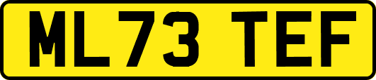 ML73TEF