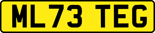 ML73TEG