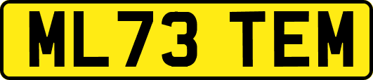 ML73TEM