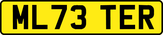 ML73TER