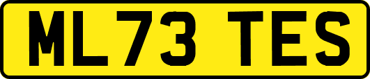 ML73TES