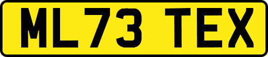 ML73TEX