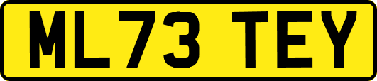 ML73TEY