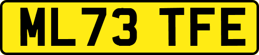 ML73TFE
