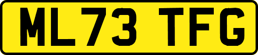 ML73TFG
