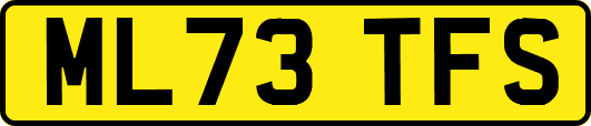 ML73TFS