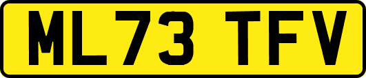 ML73TFV