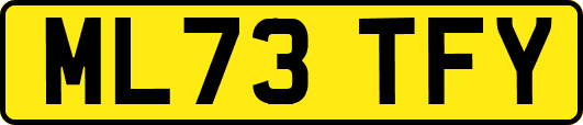 ML73TFY