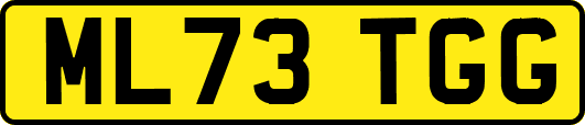 ML73TGG