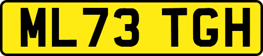 ML73TGH