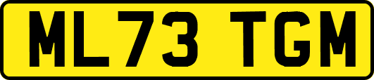 ML73TGM