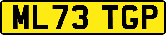ML73TGP