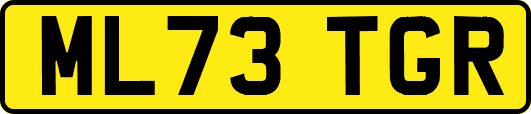 ML73TGR