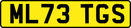 ML73TGS