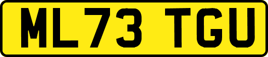 ML73TGU