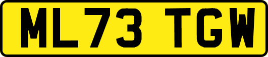 ML73TGW
