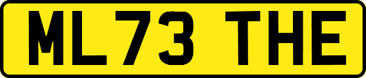 ML73THE