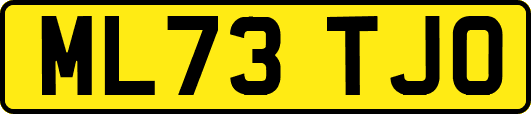 ML73TJO