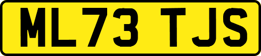 ML73TJS