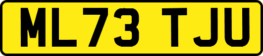 ML73TJU