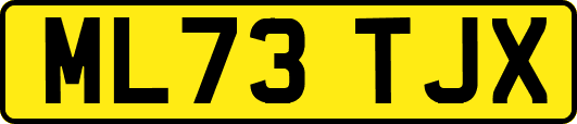ML73TJX