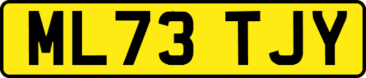 ML73TJY