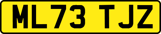 ML73TJZ