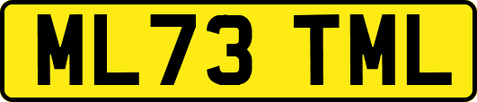 ML73TML