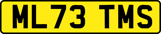 ML73TMS