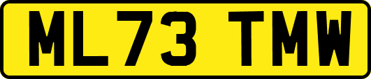 ML73TMW