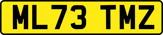 ML73TMZ