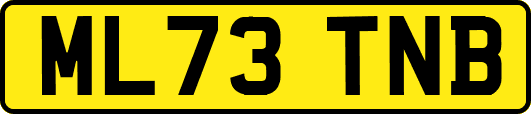 ML73TNB