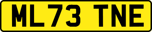 ML73TNE