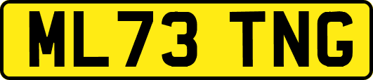 ML73TNG
