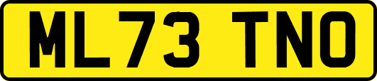 ML73TNO