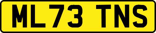 ML73TNS