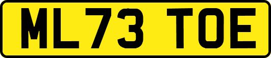 ML73TOE