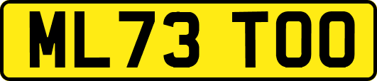 ML73TOO
