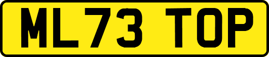 ML73TOP