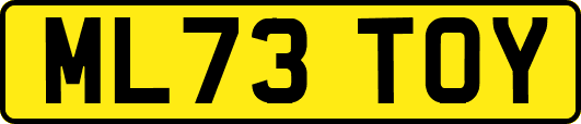 ML73TOY